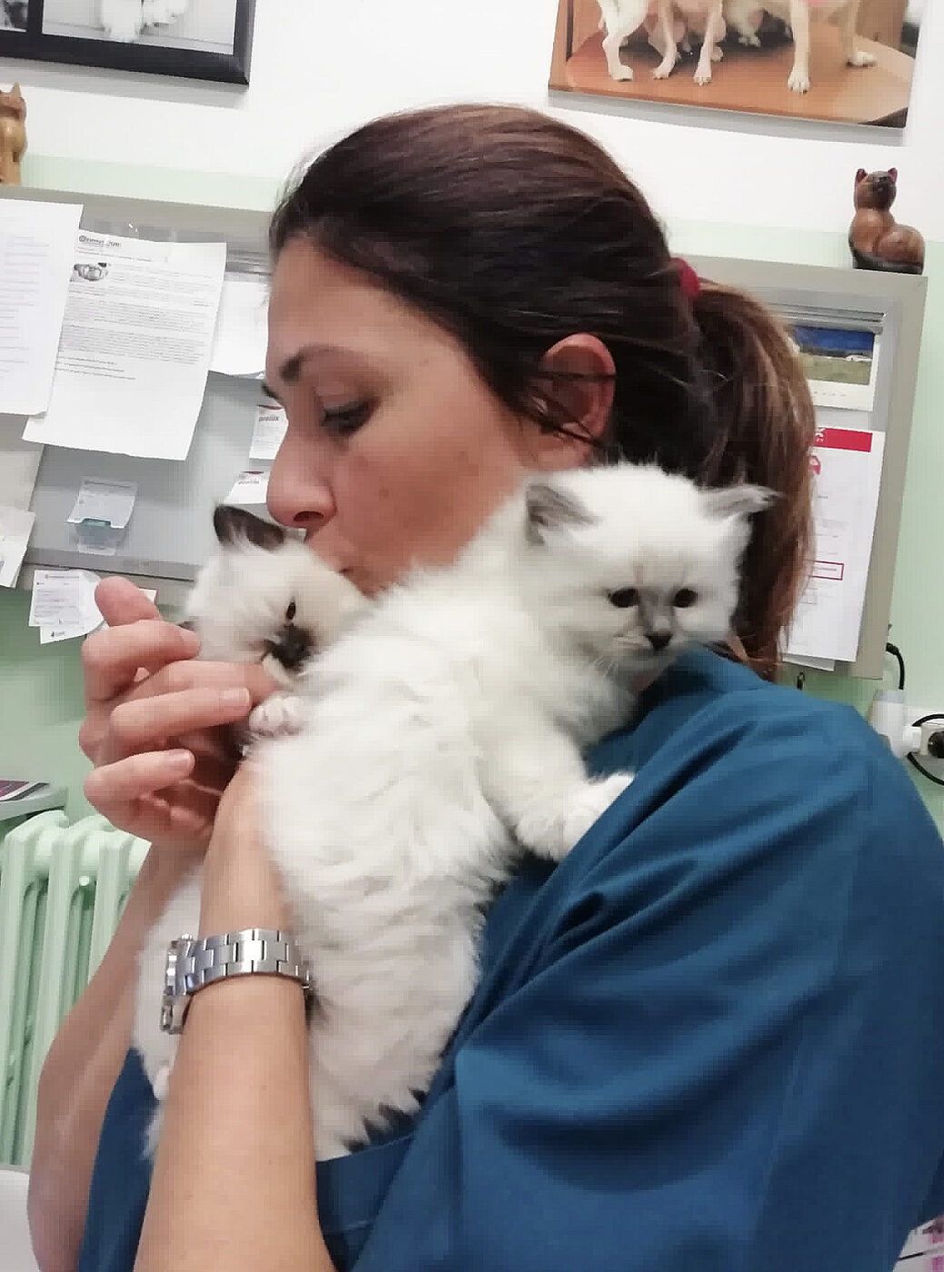 Veterinaria dell'Ambulatorio Bertone & Oropallo con due gattini bianchi in braccio