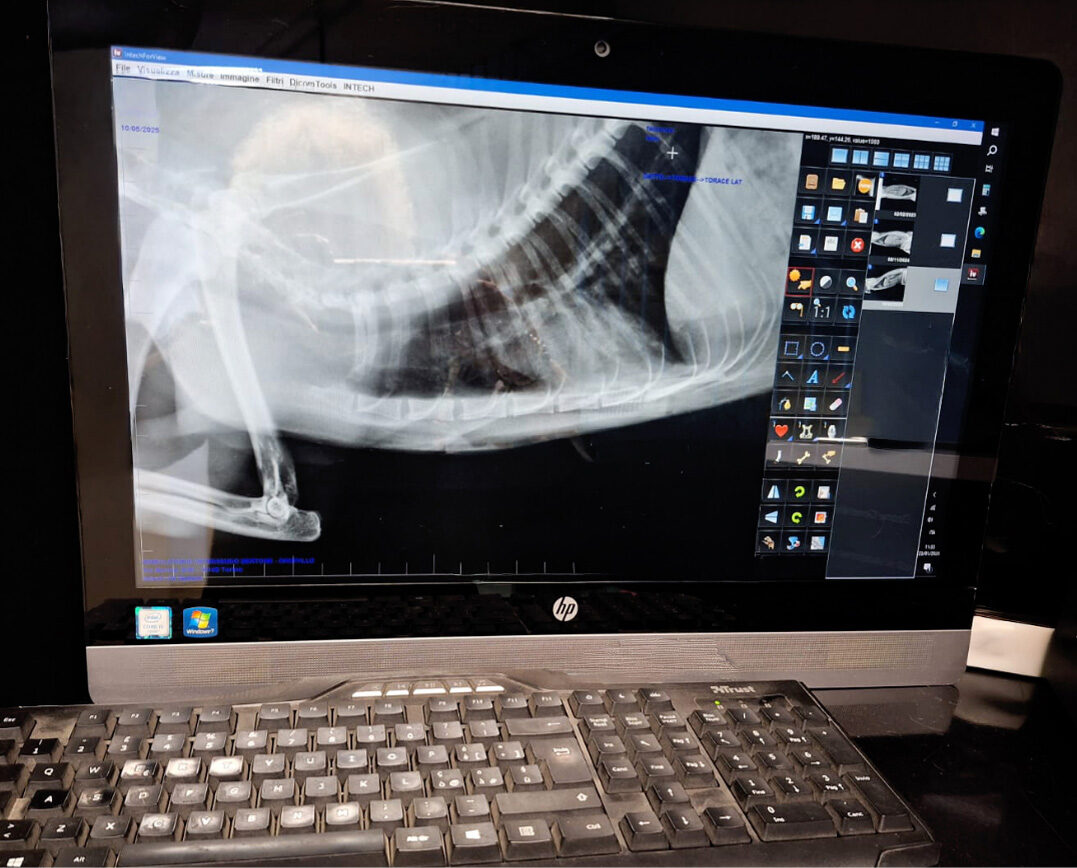 Radiografia digitale a monitor